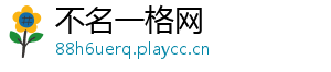 不名一格网